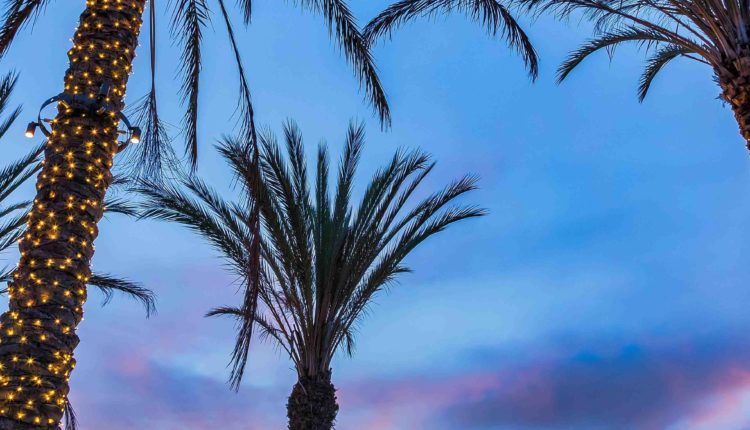 Where do millionaires hang out in San Diego?