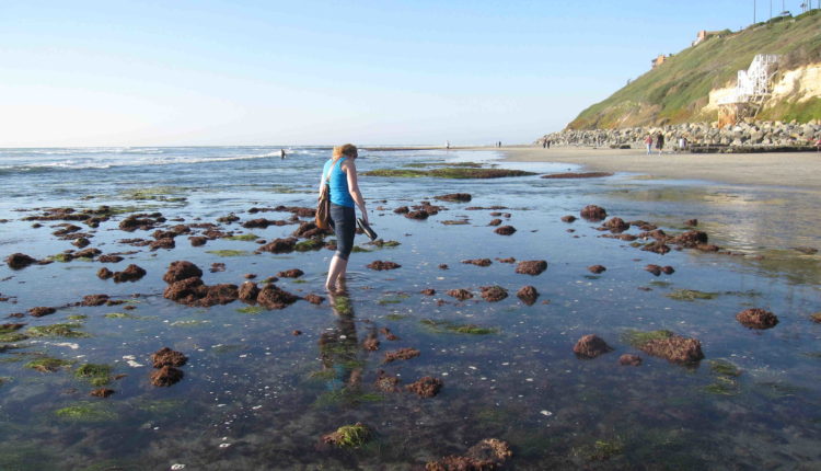 Can you swim in Encinitas?