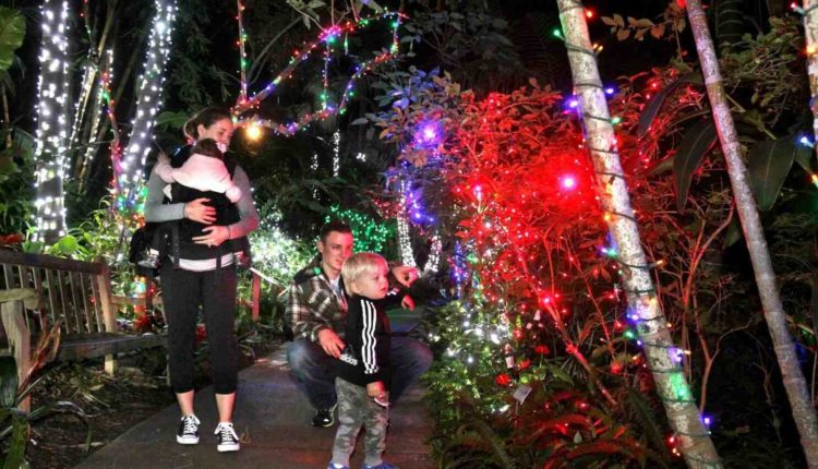 Christmas Light Tours Encinitas