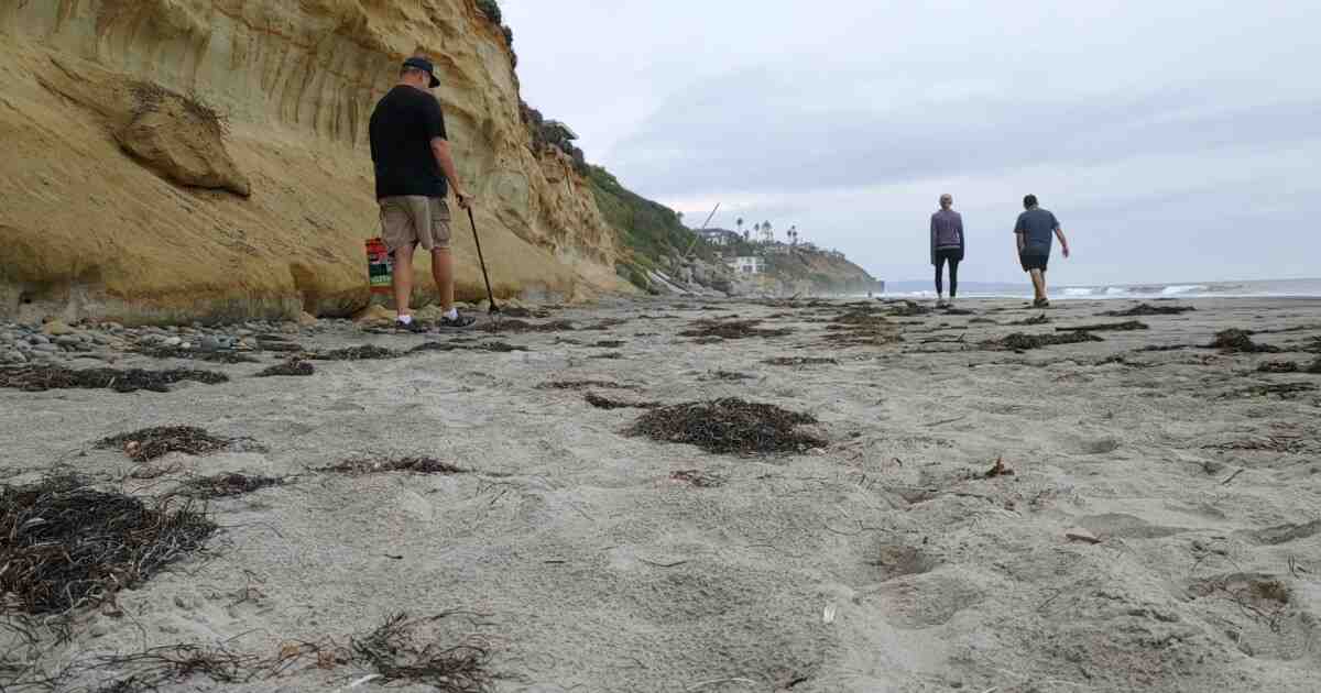 Is Balboa Park dog friendly?