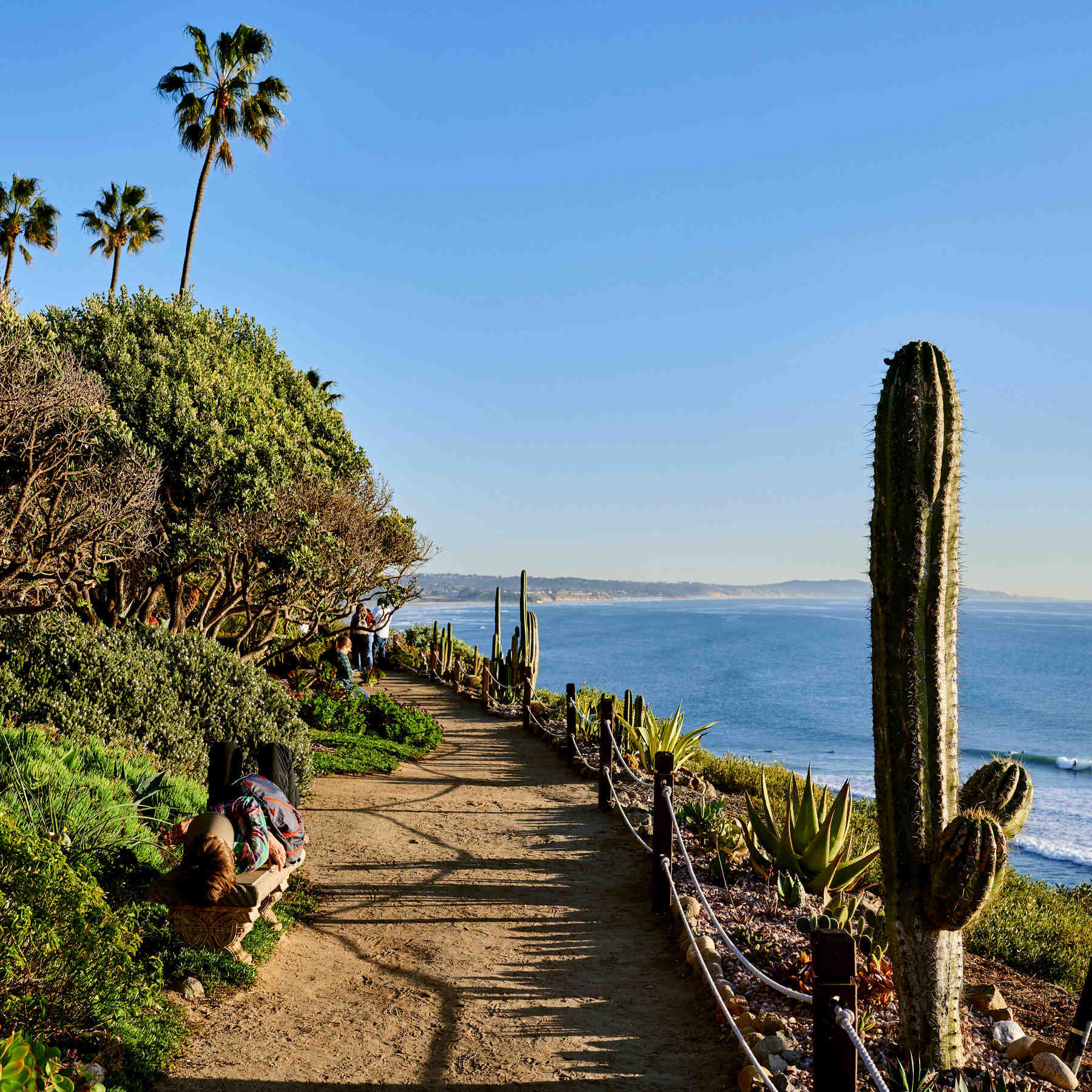Where do you park at Moonlight Beach?