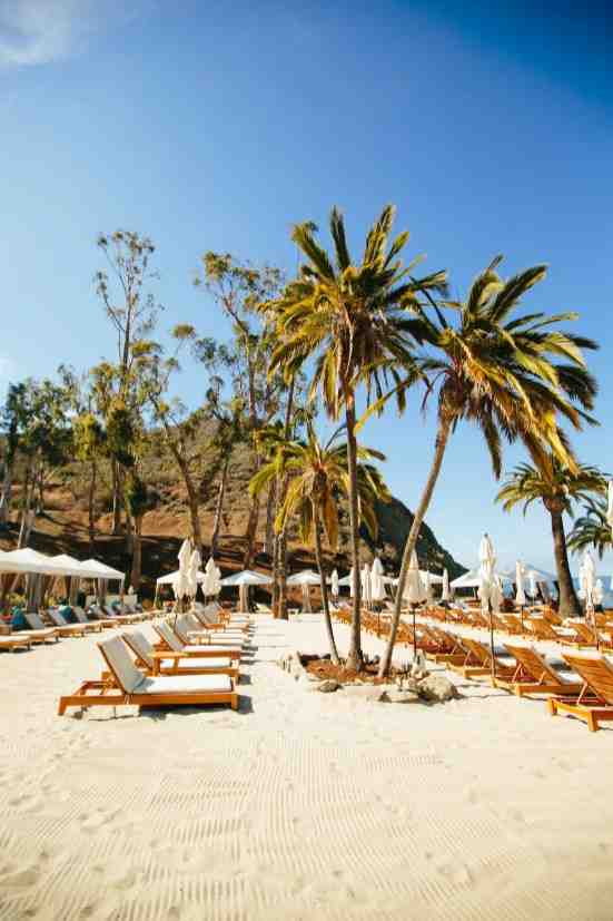 Can you drink alcohol at Doheny State Beach?
