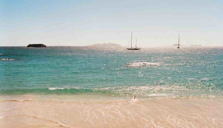 Can you drink alcohol at Moonlight Beach?