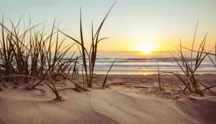 Is Moonlight Beach good for swimming?